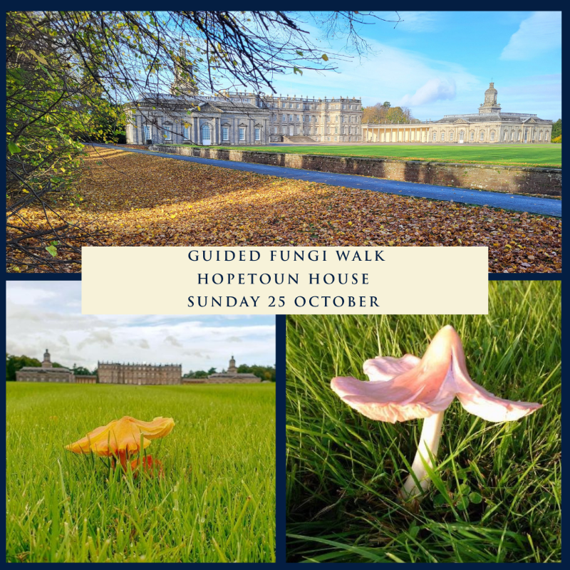 FungiWalk2510 - Hopetoun