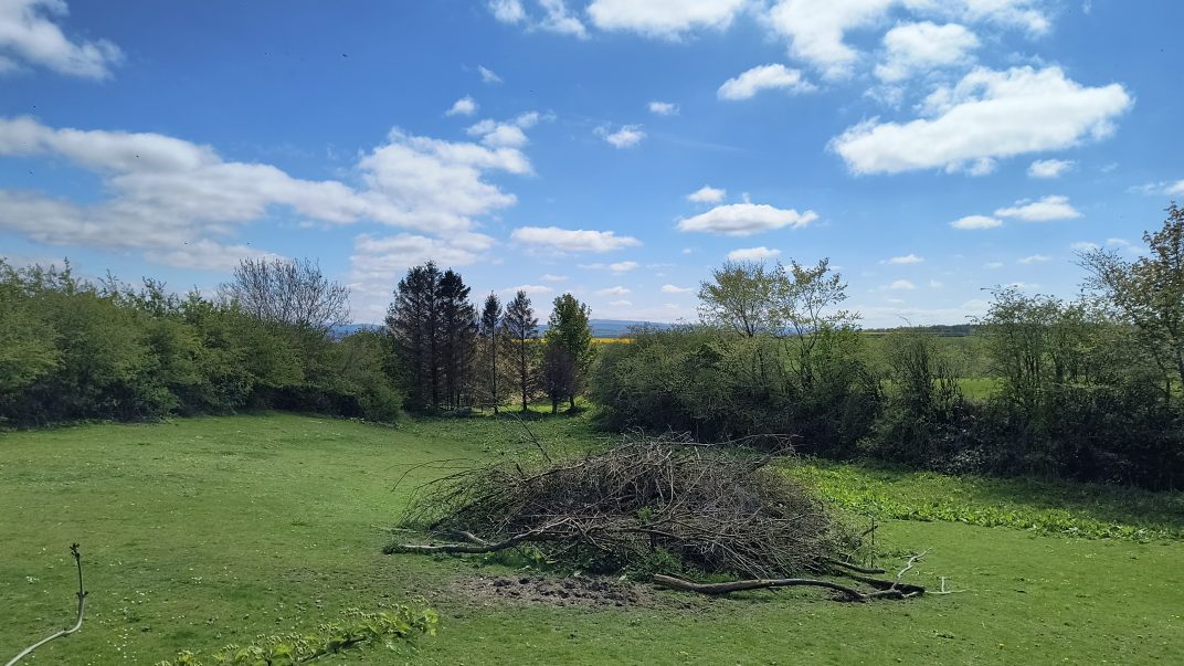 Open grassy field with a pile of branches in the foreground and a line of trees under a blue, partly cloudy sky.