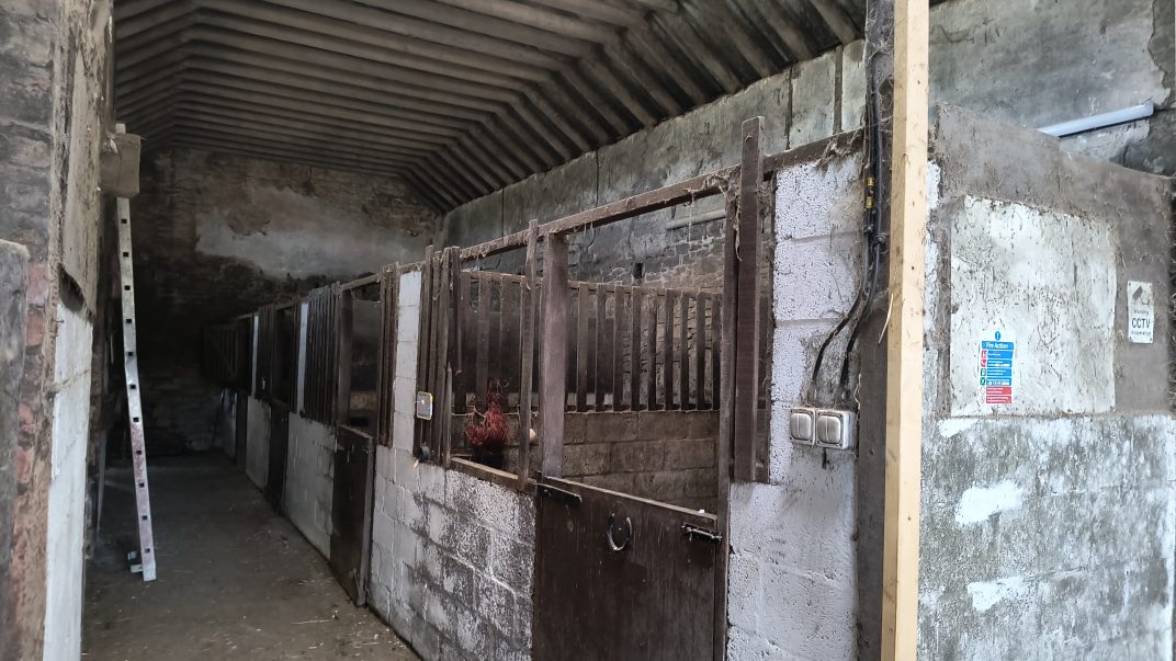Inside a dusty barn aisle with a row of wooden horse stalls along rough concrete walls and an unsteady ladder nearby.