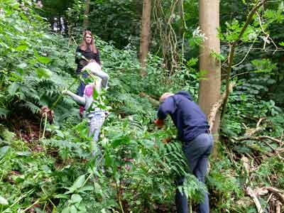 Balsam bashing at Hopetoun