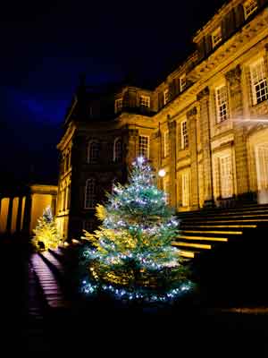 Christmas Tree Appeal - Hopetoun